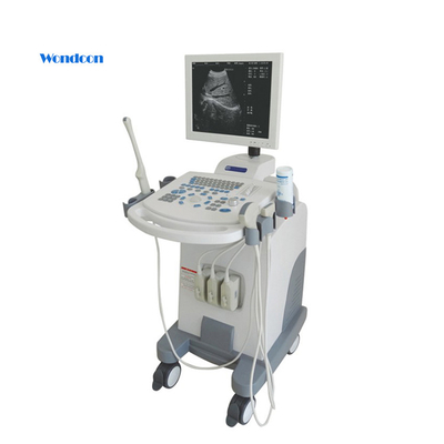 2D Manufacturing Medical Portable Trolley China Ultrasound Scanner Machine for Physiotherapy
