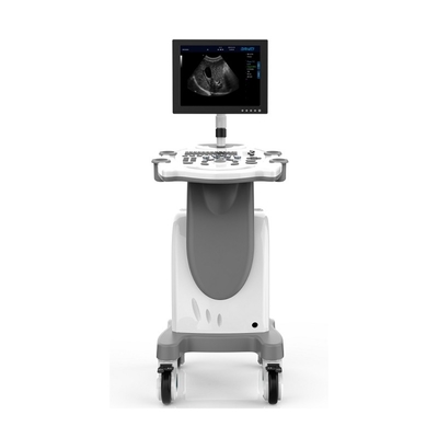 High Units PC Platform Trolley Full Digital Ultrasound Veterinary Diagnostic System 810*610*960mm
